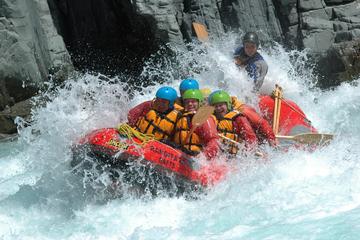 New Zealand Activity from Viator