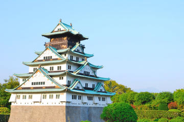 Japan Activity from Viator