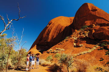Australia Activity from Viator