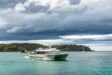 New Zealand Activity from Viator