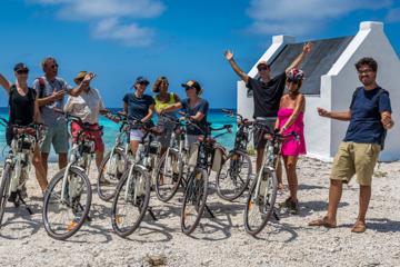 Bonaire Activity from Viator