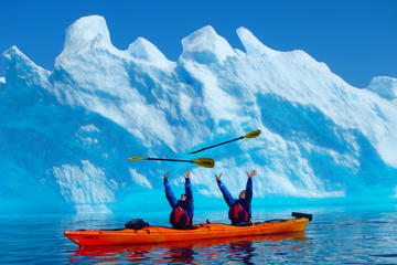 Greenland Activity from Viator