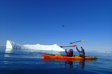 Greenland Activity from Viator