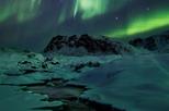 Greenland Activity from Viator