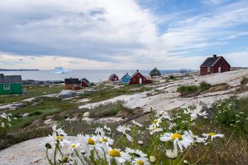 Greenland Activity from Viator