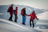 Greenland Activity from Viator