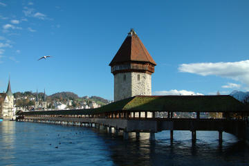 Switzerland Activity from Viator
