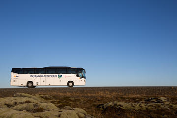 Iceland Activity from Viator