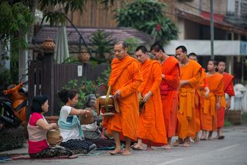 Laos Activity from Viator