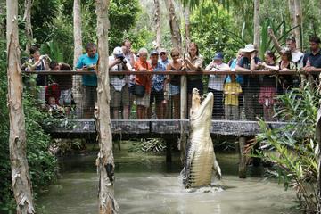 Australia Activity from Viator