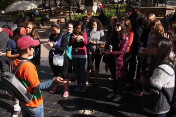 Bolivia Activity from Viator