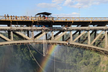 Zimbabwe Activity from Viator