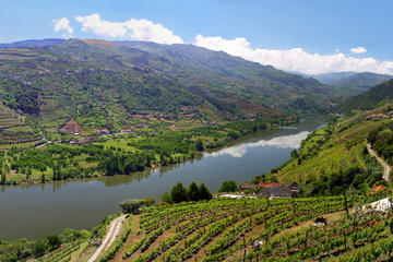 Portugal Activity from Viator