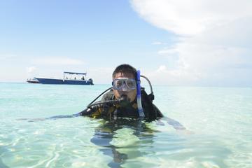 Aruba Activity from Viator