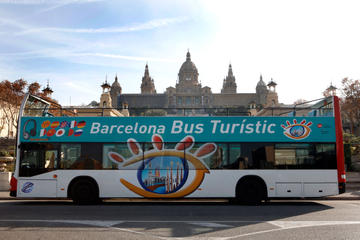 Spain Activity from Viator