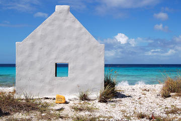 Bonaire Activity from Viator