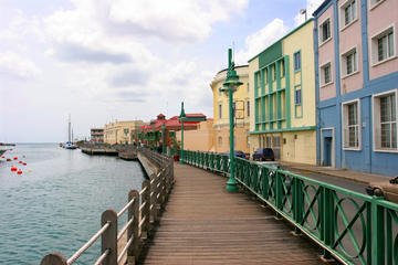 Barbados Activity from Viator