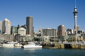 New Zealand Activity from Viator