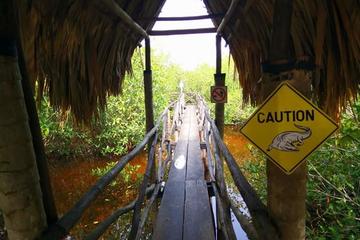 Belize Activity from Viator