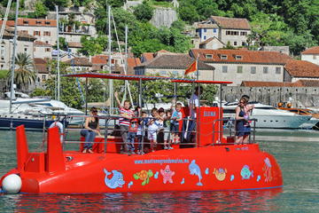 Montenegro Activity from Viator