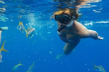 Turks and Caicos Islands Activity from Viator