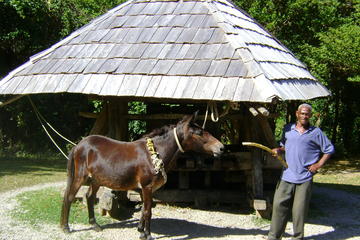 Saint Lucia Activity from Viator