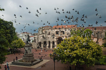Dominican Republic Activity from Viator