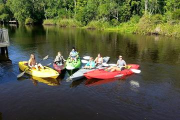 Guided Kayak Tours Amelia Island Guided Kayak Tours Amelia Island