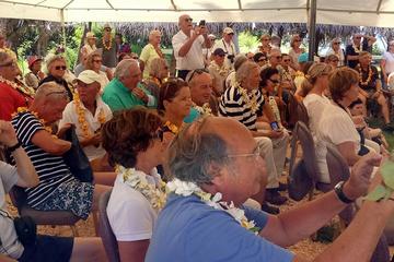 Tonga Activity from Viator