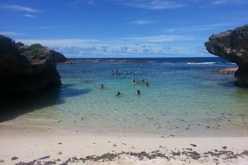 Tonga Activity from Viator