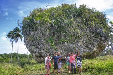 Tonga Activity from Viator
