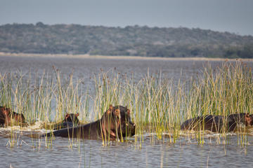 Mozambique Activity from Viator