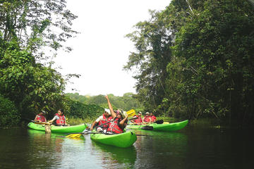 Panama Activity from Viator