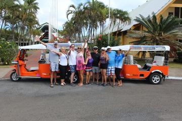 Cook Islands Activity from Viator