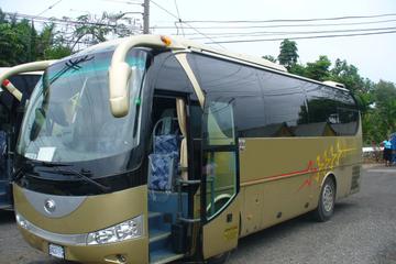 Jamaica Activity from Viator