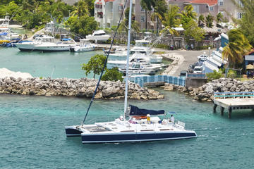 Jamaica Activity from Viator