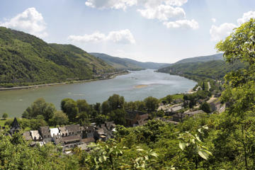 Germany Activity from Viator