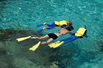 Netherlands Antilles Activity from Viator