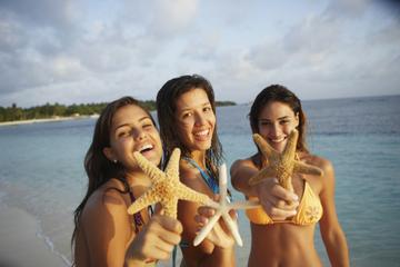 Netherlands Antilles Activity from Viator