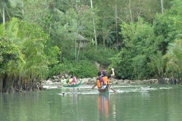 Philippines Activity from Viator