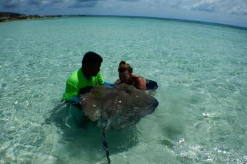 Turks and Caicos Islands Activity from Viator