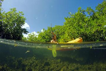 British Virgin Islands Activity from Viator