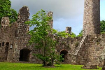 St Kitts and Nevis Activity from Viator