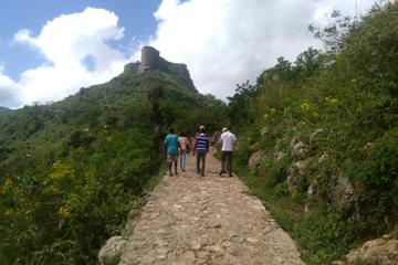 Haiti Activity from Viator