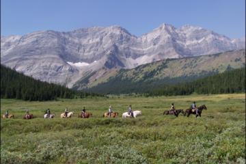 Canada Activity from Viator