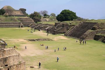 Mexico Activity from Viator