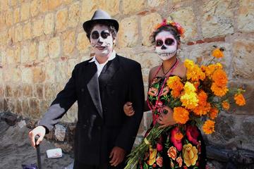 Oaxaca Activity from Viator