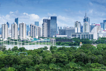 Hong Kong Activity from Viator