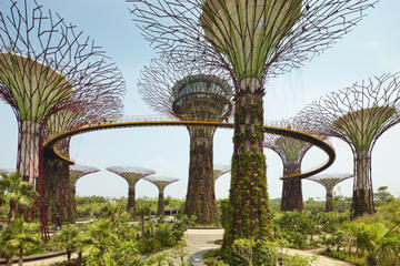 Singapore Activity from Viator