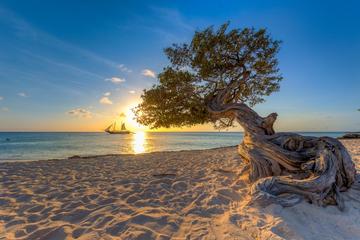 Aruba Activity from Viator